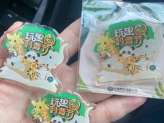 -广州长隆野生动物世界