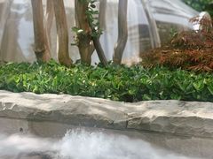 -浅深Cheersum(曹杨店)