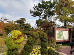 -渡海小渔村.老辈日照菜