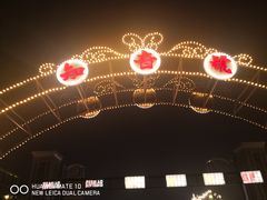 -武汉知音号