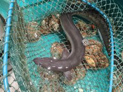 -八闽饭店闽南小镇(铁西店)