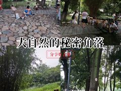-成都市活水公园