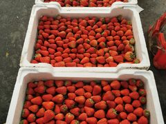 -西郊国际农产品交易中心