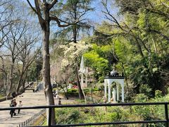 -上海佘山国家森林公园西佘山园