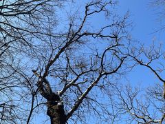 -终南山南五台景区