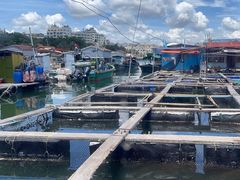 -蓝湾碧波·老字号·疍家非遗海上餐厅