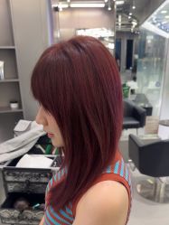 -东方麒麟·潘多拉SALON