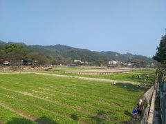 -红山村