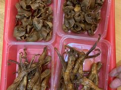 -蓝精灵饺子店