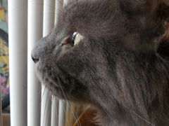 -平行世界·猫咖(首经贸店)