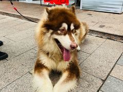 -黄兴南路步行商业街