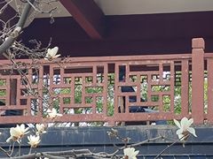 -堤角公园