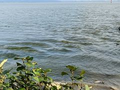 -深圳湾公园(南山区)
