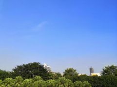 -东风公园