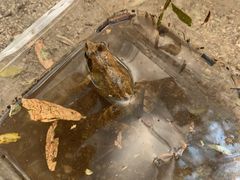 -碓臼峪自然风景区