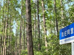 -同里国家湿地公园
