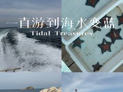 -养马岛旅游度假区