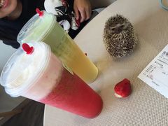 -奈雪的茶(南山大冲一期店)