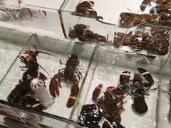 -万龙洲海鲜(大兴绿地缤纷城店)