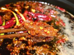 -大院小院传统火锅·小酒馆(北城天街店)