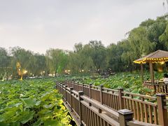 -风渡嘉荷·美式西餐厅·招牌汉堡·烤鸡·牛排(西三旗金隅店)