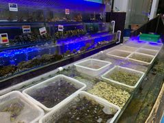 水产区-喜碧海鲜·二十年本土海鲜老字号(上排店)