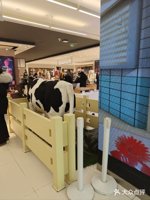 红星前进面包牛奶公司(君太店)图片