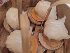 -金鼎轩(方庄天坛店)