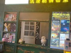 -逃脱反斗城沉浸剧情密室(阳光新业中心店)
