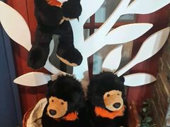 -济州岛泰迪熊博物馆