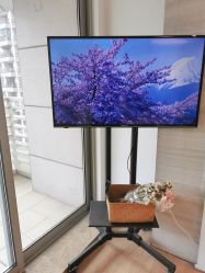 -FACE·日本小颜矫正美容整骨サロン