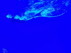 -多彩贵州城极地海洋世界