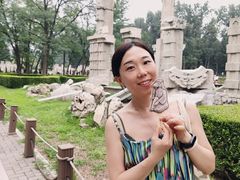 -红楼梦邮局