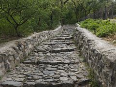 -阳台山自然风景区