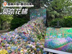 -上海共青森林公园