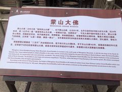 -蒙山大佛景区