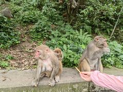 -黔灵山公园