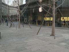 -Apple零售店(华贸购物中心店)