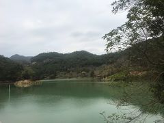 -广州白江湖森林公园