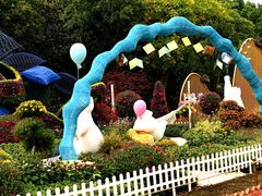 -上海共青森林公园