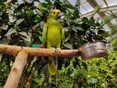 -南宫五洲植物乐园