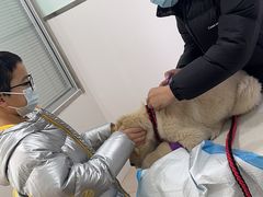 -佳雯宠物医院·皮肤科·内外科(春晓路分院)