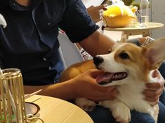 -汪说·狗咖(旺城大厦店)