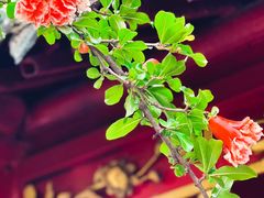 -西安市广仁寺