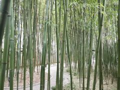 -柳侯公园