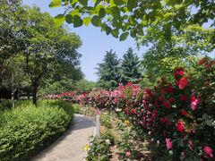 -郑州植物园