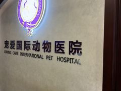 -宠爱国际动物医院·疑难骨科·心肾内科·皮肤科(太阳宫店)