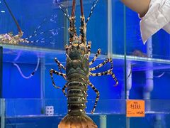 -好彩海鲜火锅饭店(银河百老汇店)