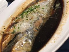 鲥鱼-中油泰富国际酒店-中餐厅