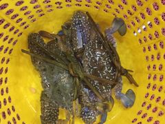 -俊江海鲜酒店(海陵岛白蒲市场店)
